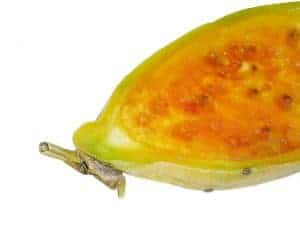 Bioxyn, reviews, composition, effects. Are saffron capsules an effective way to fight pounds? 4 Prickly pear