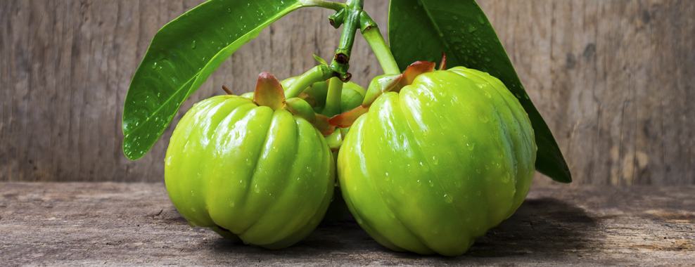 Garcinia Cambogia - a tropical fruit to help you lose weight 1 garcinia cambogia 01