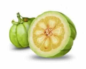  garcinia cambogia fruit