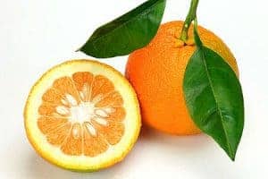 Synephrine - burning fat with bitter orange 2 oranges