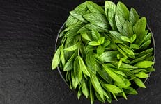 Proven home remedies for aching joints 4 peppermint