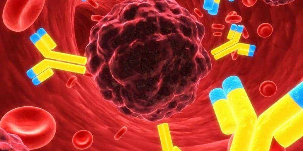 Weakened immunity - causes, symptoms and ways to strengthen it 1 odpornosc 01