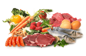 Foods in the paleo diet