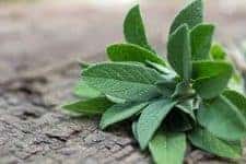 Proven home remedies for aching joints 3 sage