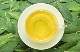Fat burners - how do they work? Natural fat burners 4 green tea