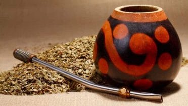 Herbs for weight loss - types, effectiveness and possible side effects 3 yerba mate