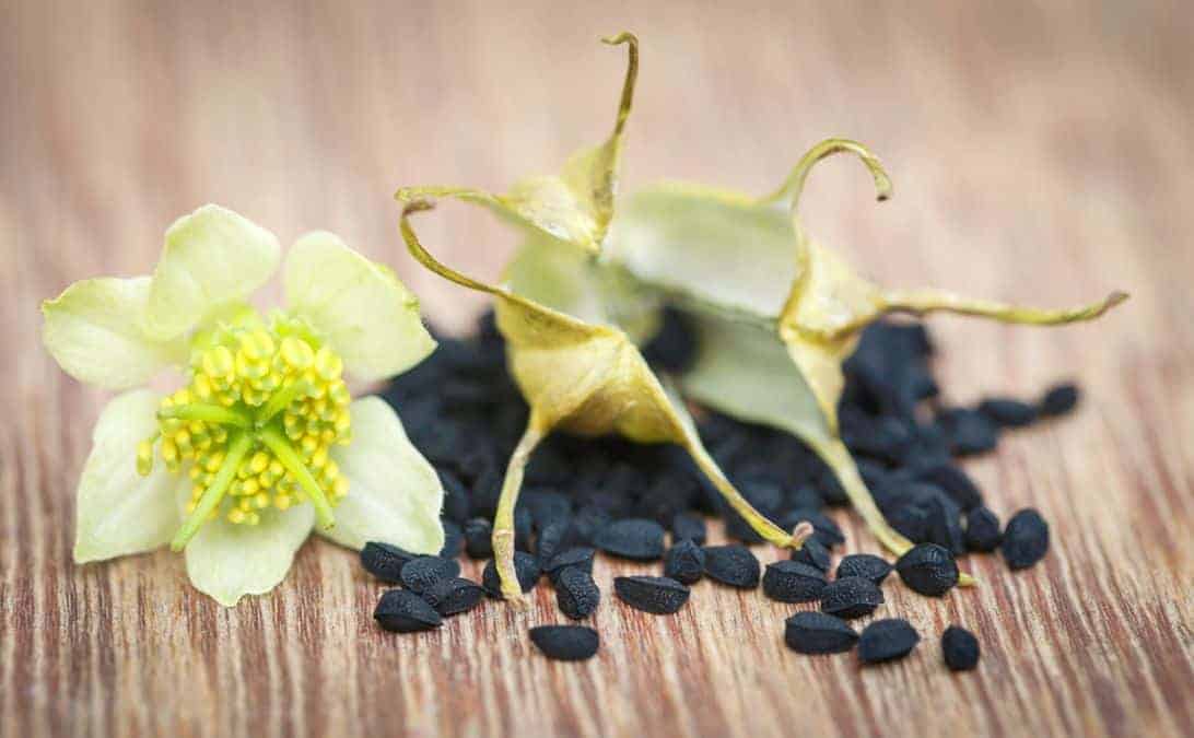 Black cumin - properties. What does cumin oil help? 1 Depositphotos 155822430 s 2019