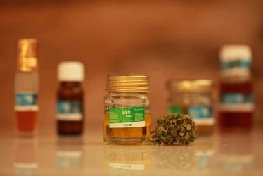 CBD oil - production and medical use of hemp oil 3 cannabis oil cbd