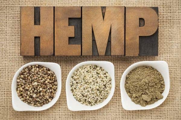 Hemp seeds (hempseed) - healthy nutrients in small grains 1 Depositphotos 26841423 s 2019