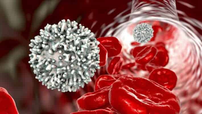 How to strengthen your immune system with natural methods - and prepare for the coming winter 1 Depositphotos 278854420 s 2019