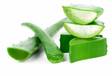 Herbs for acne - natural methods of dealing with pimples 4 aloe vera
