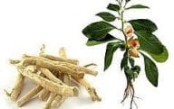 Thyrolin - helps support your thyroid health 4 ashwagandha