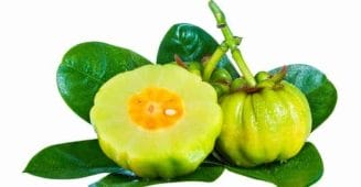  garcinia cambogia