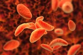 Germixil - the most effective way to get rid of digestive tract parasites and worms 4 Protozoa