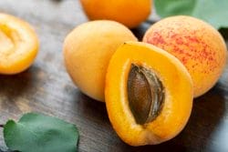  apricot