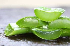 Expansil Cream - the powerful erection and libido you've been dreaming of 7 aloe vera