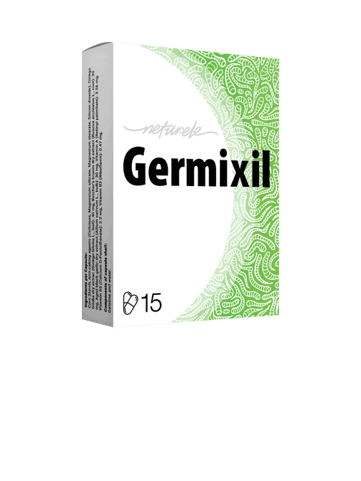 Germixil 2
