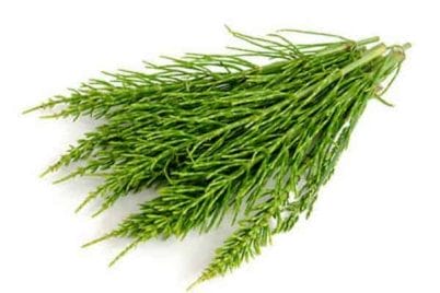 Revalid - opinions about the treatment lasting several weeks 4 field horsetail