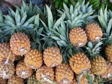 Bromelain - get healthy and lose weight with the pineapple fruit 2 pineapples