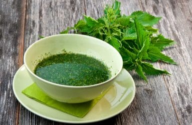 Nettle - for hair loss opinions and effects 4 Nettle soup