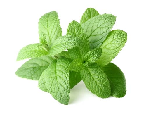Keto Core - weight loss drops enhancing the effect of ketosis 8 peppermint