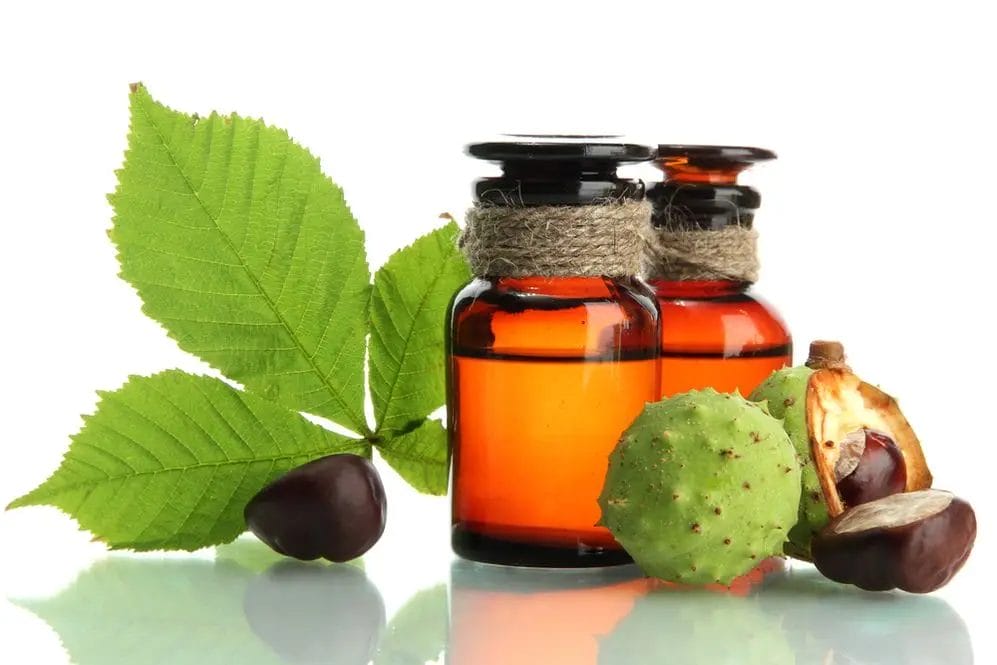 Horse chestnut extract or hesperidin - which works better for varicose veins 1 Horse chestnut