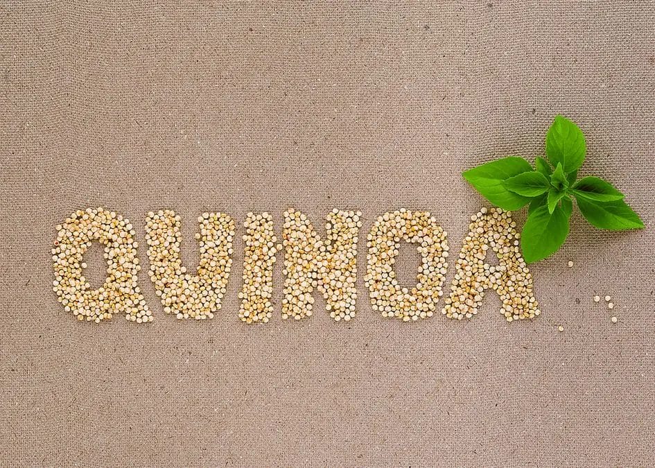 Quinoa - what is it? What properties does quinoa have and why should it be eaten? 1 quinoa