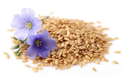  Flax flowers and seeds
