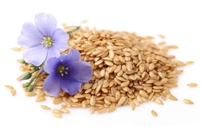 Flaxseed - grains of flax, not only good for weight loss 2 Flax flowers and seeds