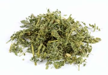 Tribulus terrestris - an herb every man should know 4 Dried Tribulus terrestris