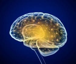 MCT oil - composition, effects and health properties 3 an active brain
