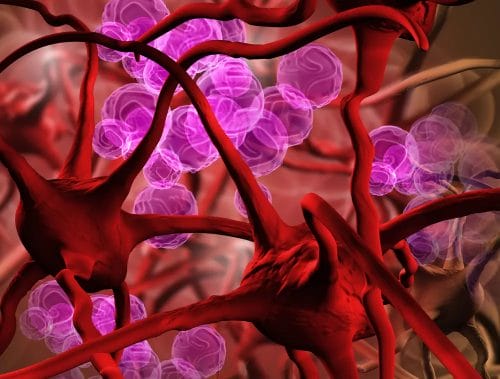 Anemia - symptoms, causes, types. How to prevent it and how to treat it? 2 red blood cells