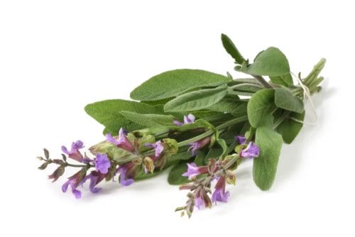 Keto Core - weight loss drops enhancing the effect of ketosis 6 Clary sage