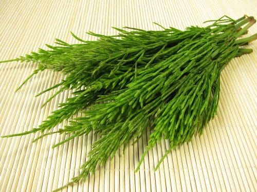 DHT natural blockers - reviews, do they really work. 6 field horsetail