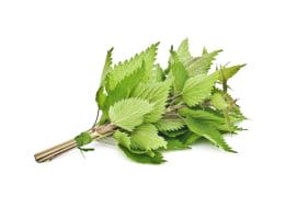 Zinamax - tablets effective for acne and other skin problems 6 Common nettle