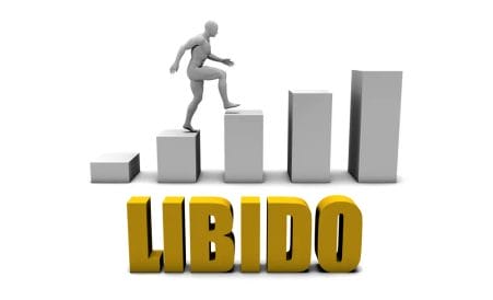 L-arginine - health, weight loss and male libido enhancing properties 4 Increasing libido level