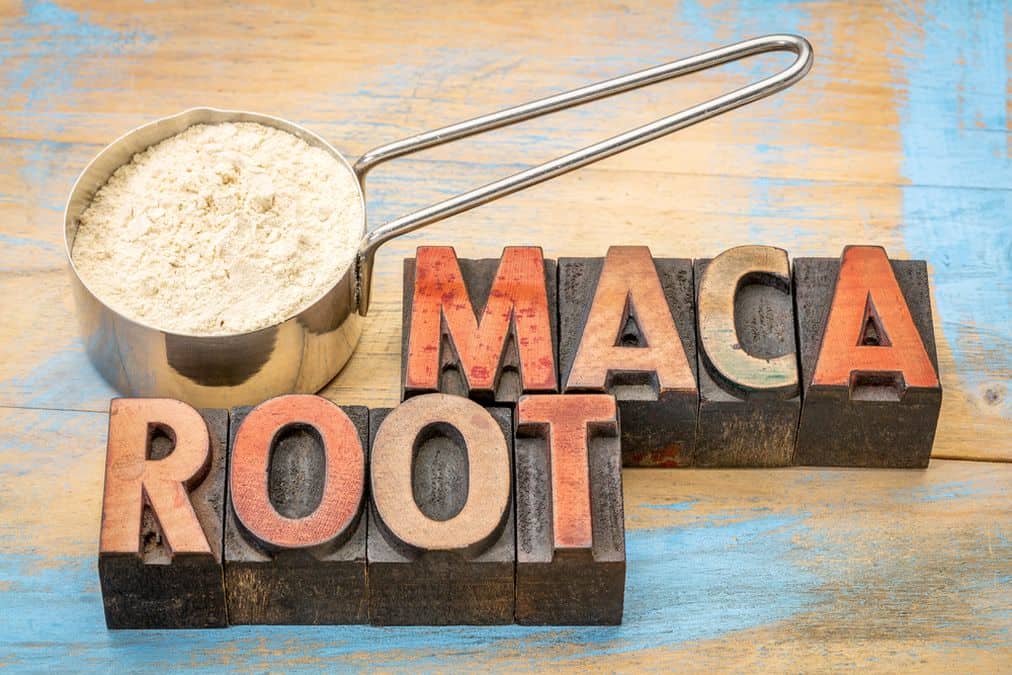 Maca root (Peruvian ginseng) - for weakened libido and other health problems 1 Depositphotos 94240238 s 2019