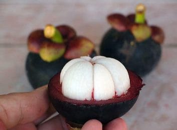 Mangosteen (mangosteen) - a tropical source of health and vitality 2 mangosteen
