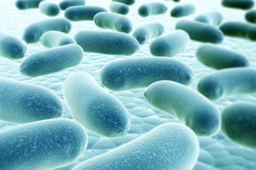 Microbiota - influence of gut bacteria on the body 1 Depositphotos 9969075 L
