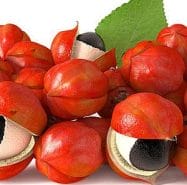  guarana