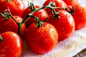  tomatoes as a source of lycopene