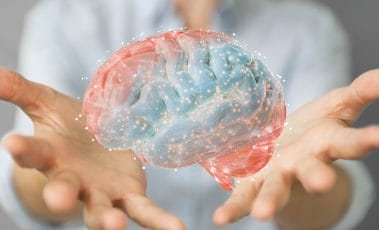 How to improve brain function - and stay mentally fit for a long time 2 3D human brain