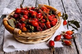 NuviaLab Immune - a natural formula that effectively strengthens weakened immunity 6 wild rose