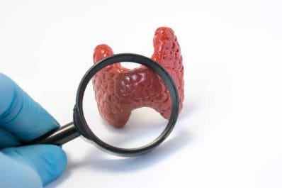 Iodine - properties, dosage, sources and effects of deficiency and excess of this element 4 Thyroid under the magnifying glass