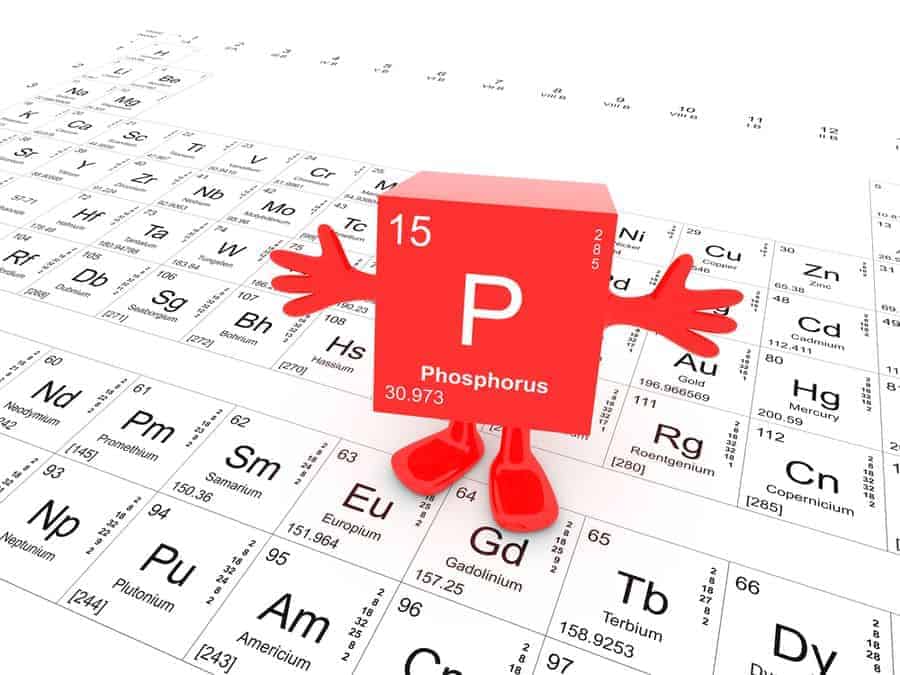 Phosphorus - another element essential for human health 1 Depositphotos 175968786 S