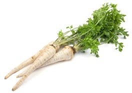 parsley root