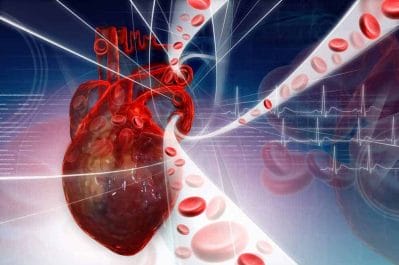 Cardio A - a natural dietary supplement effective in cardiovascular disease 2 human heart
