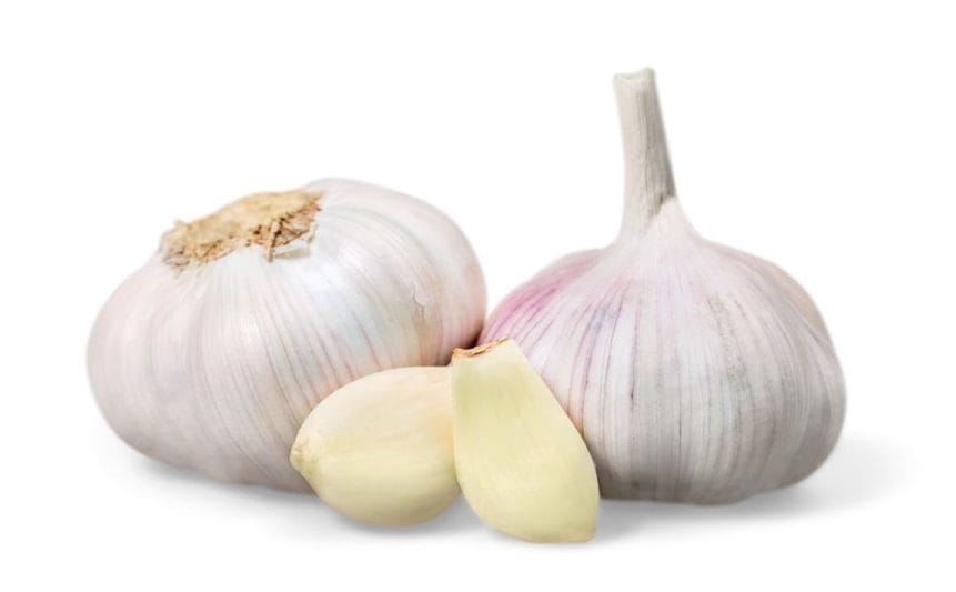 Spices with medicinal properties - which ones are worth having in your kitchen? 3 Garlic