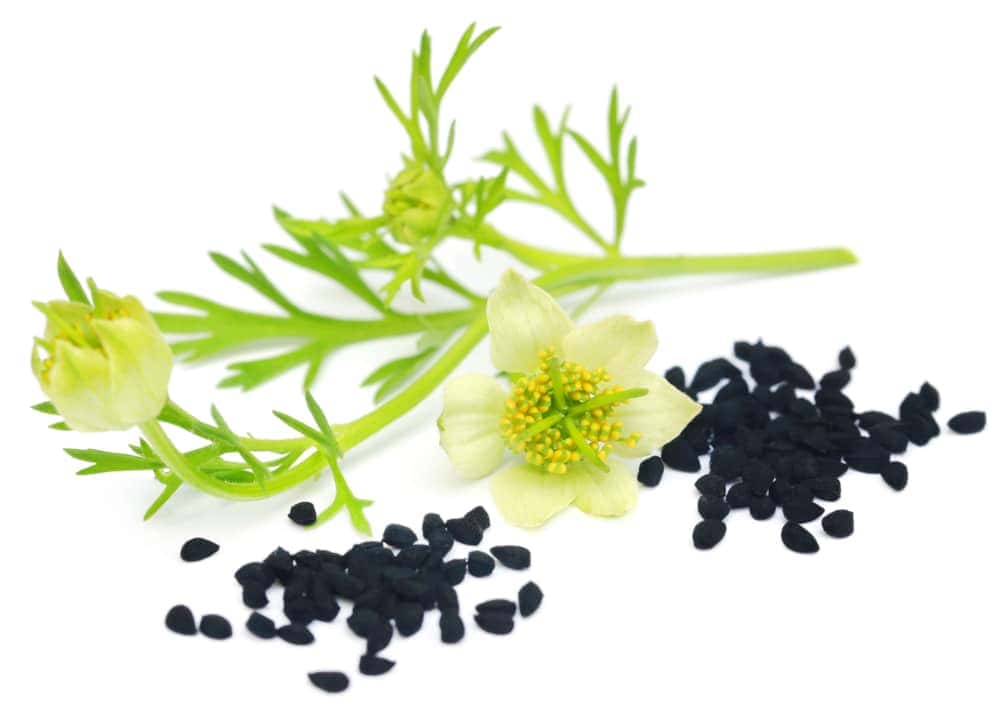 Andropause - causes and ways to relieve symptoms of male menopause 6 Nigella