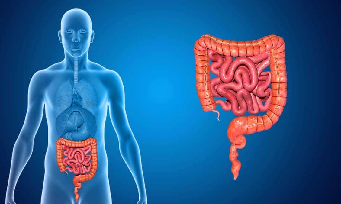 How to take care of the intestines - so that they function properly? 1 Depositphotos 54368679 L